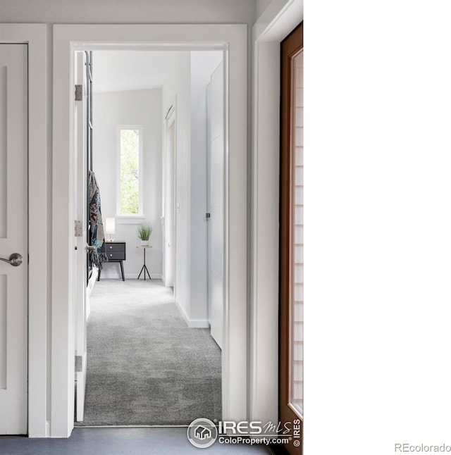 3445 Martin Dr, Boulder, CO 80305 - corridor with carpet and baseboards