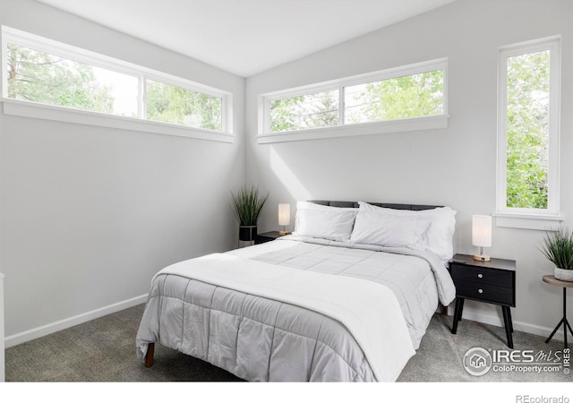 3445 Martin Dr, Boulder, CO 80305 - bedroom with carpet floors and baseboards