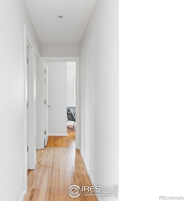 3445 Martin Dr, Boulder, CO 80305 - corridor with light wood-style floors and baseboards