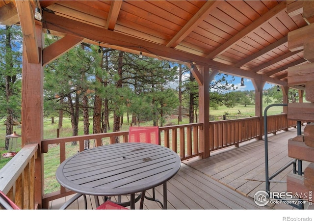 1084 Iron Mountain Dr, Livermore, CO 80536 - photo 7