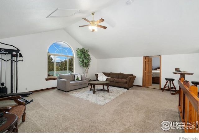 1084 Iron Mountain Dr, Livermore, CO 80536 - photo 27