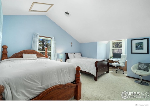 1084 Iron Mountain Dr, Livermore, CO 80536 - photo 29