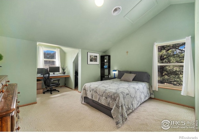 1084 Iron Mountain Dr, Livermore, CO 80536 - photo 32