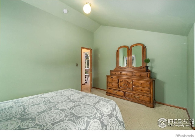 1084 Iron Mountain Dr, Livermore, CO 80536 - photo 33