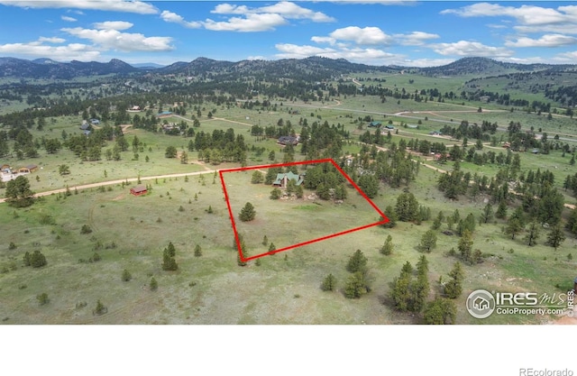 1084 Iron Mountain Dr, Livermore, CO 80536 - photo 40