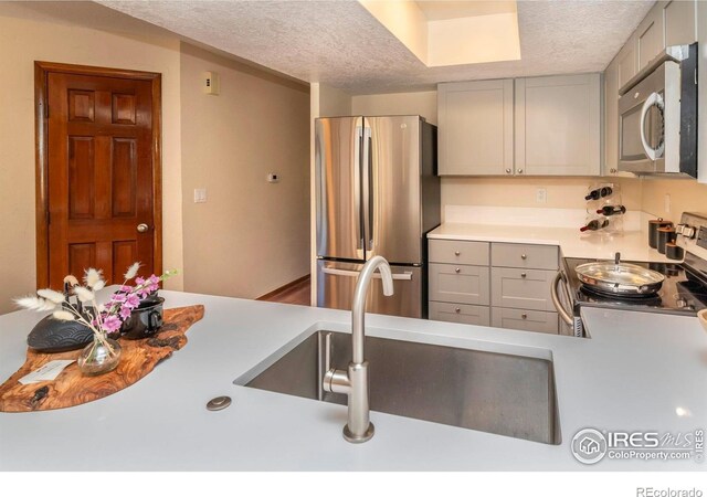 5950 Gunbarrel Ave Unit E, Boulder, CO 80301 - photo 4