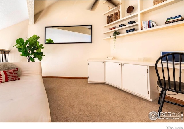 5950 Gunbarrel Ave Unit E, Boulder, CO 80301 - photo 24