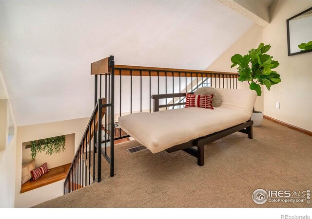 5950 Gunbarrel Ave Unit E, Boulder, CO 80301 - photo 26