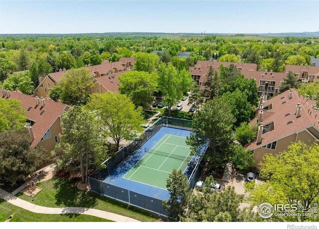 5950 Gunbarrel Ave Unit E, Boulder, CO 80301 - photo 35