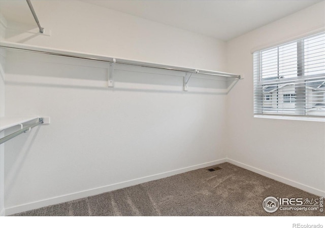 645 Flintwood Pl, Lafayette, CO 80026 - spacious closet with dark colored carpet