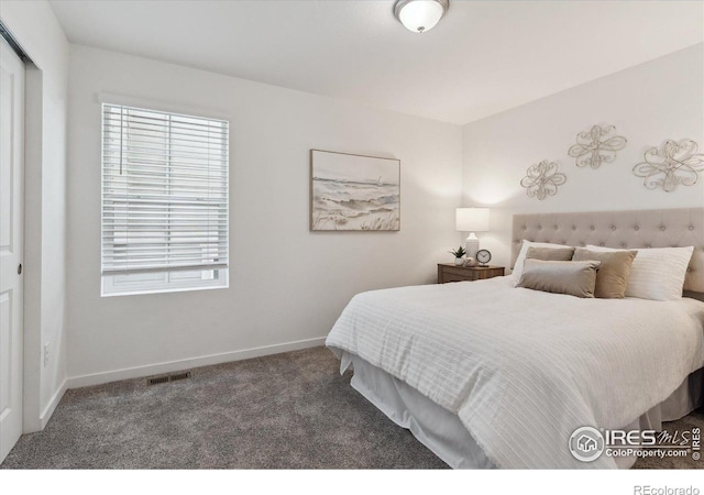 645 Flintwood Pl, Lafayette, CO 80026 - bedroom with carpet flooring, multiple windows, and baseboards
