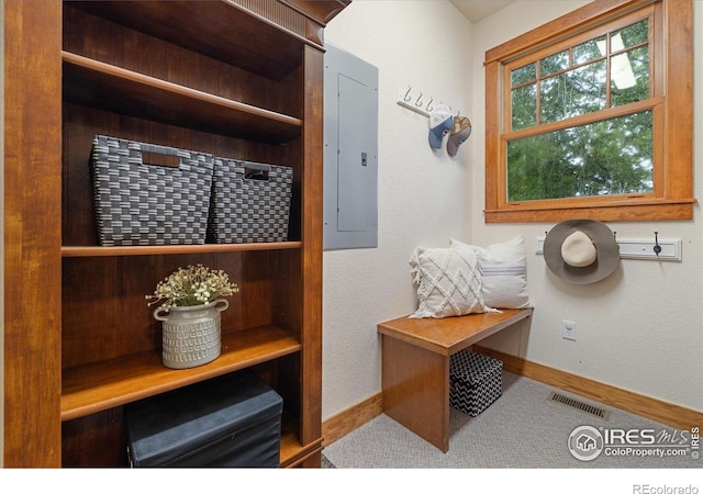 1625 Peak Ln, Erie, CO 80516 - photo 19