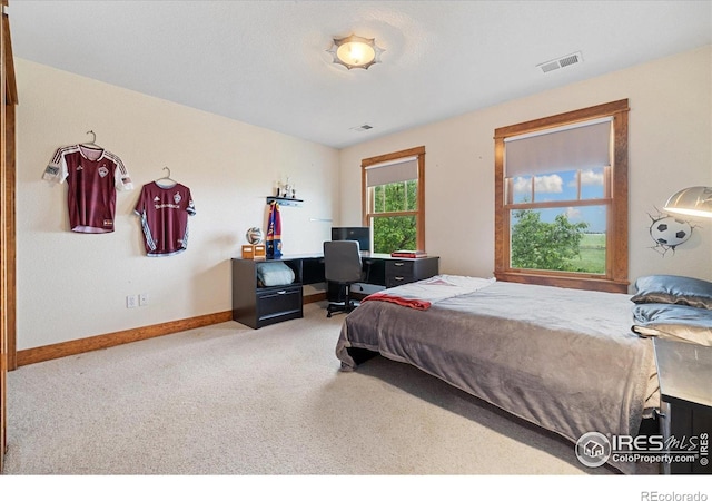 1625 Peak Ln, Erie, CO 80516 - photo 29