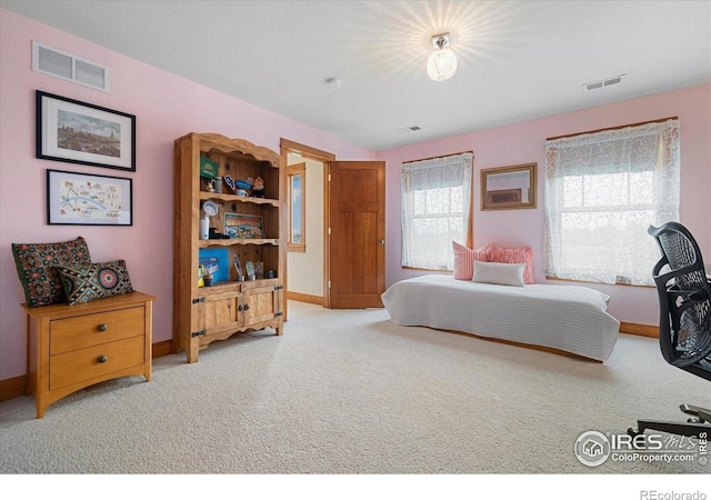 1625 Peak Ln, Erie, CO 80516 - photo 26