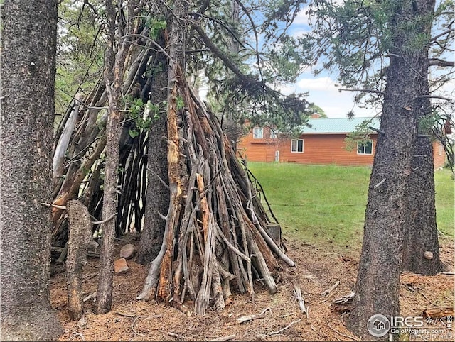 1954 Bluestem Way, Fairplay, CO 80440 - view of green lawn