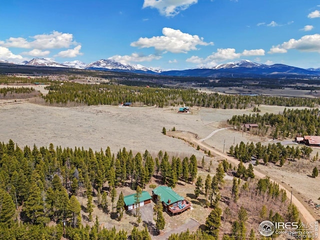 1954 Bluestem Way, Fairplay, CO 80440 - drone / aerial view of a mountainous background