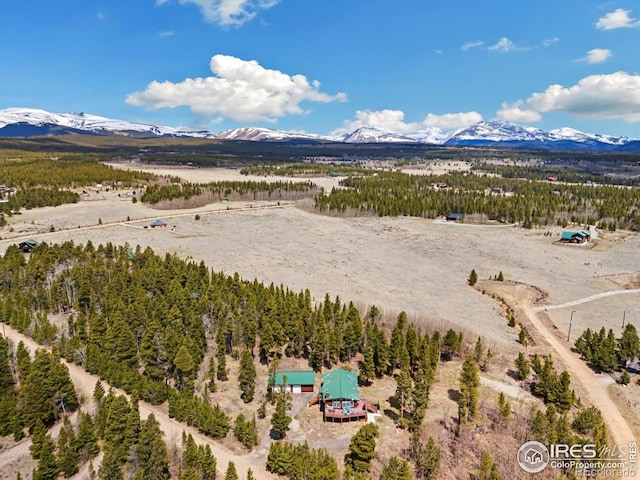 1954 Bluestem Way, Fairplay, CO 80440 - bird's eye view of a mountainous background