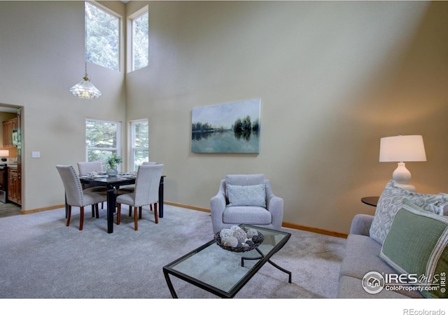 804 Nelson Park Ln, Longmont, CO 80503 - carpeted living room featuring healthy amount of natural light, baseboards, and a towering ceiling