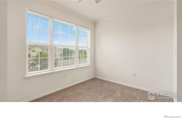 5620 Fossil Creek Pkwy Unit 7305, Fort Collins, CO 80525