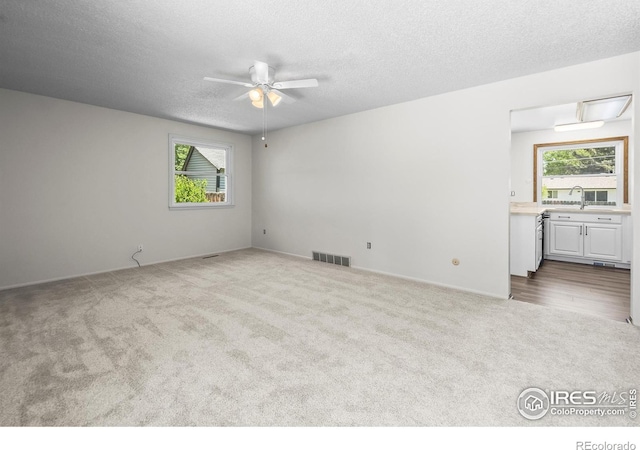 3416 Logan Ave, Loveland, CO 80538 - carpeted spare room featuring ceiling fan, plenty of natural light, a sink, a textured ceiling, and baseboards