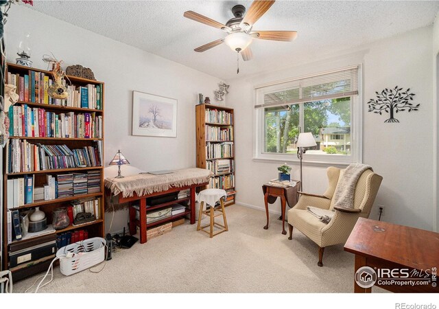 1702 Kennedy Ave, Loveland, CO 80538 - living area with carpet, a ceiling fan, and a textured ceiling