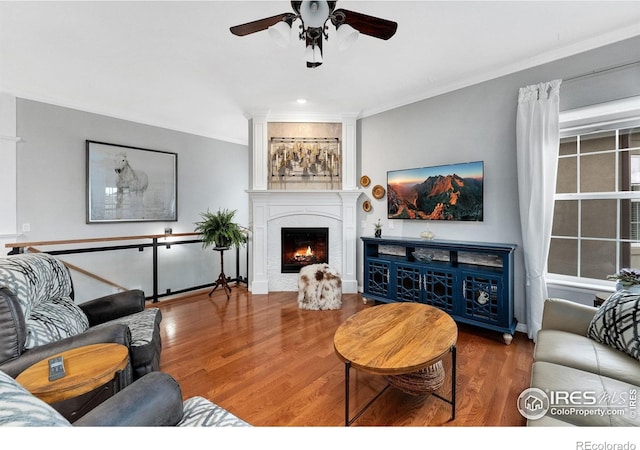 2038 Vineyard Dr, Windsor, CO 80550 - living room featuring wood finished floors, ceiling fan, crown molding, and a lit fireplace