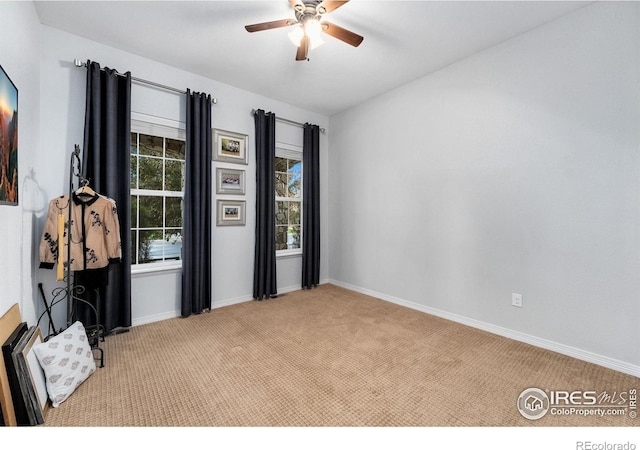 2038 Vineyard Dr, Windsor, CO 80550 - empty room with carpet, ceiling fan, and baseboards