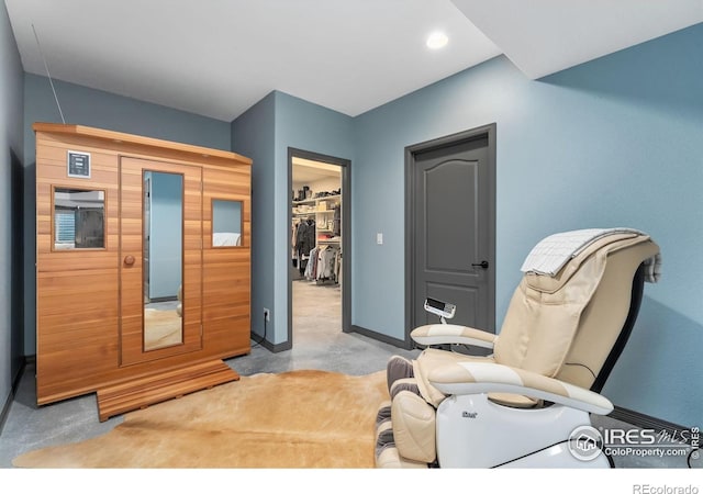 2038 Vineyard Dr, Windsor, CO 80550 - sitting room with carpet floors, baseboards, and recessed lighting