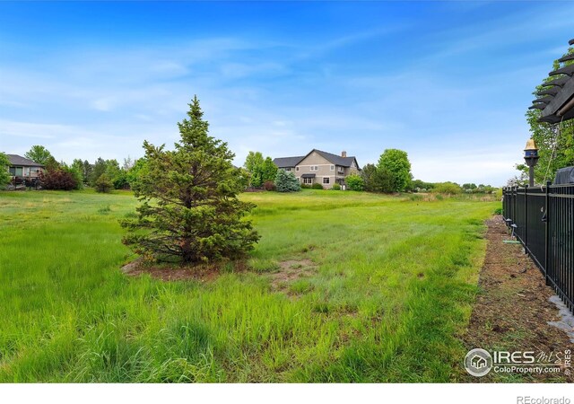 2038 Vineyard Dr, Windsor, CO 80550 - view of yard