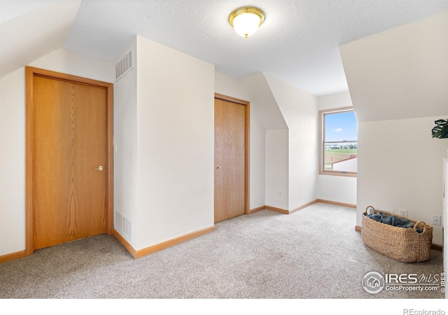 36091 Appy Rd, Eaton, CO 80615 - additional living space with carpet, baseboards, and lofted ceiling