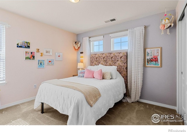 767 Cabot Dr, Erie, CO 80516 - photo 27