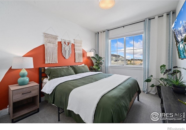 1922 Naturita St, Loveland, CO 80538 - view of carpeted bedroom
