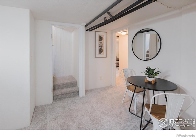 416 E Elizabeth St, Fort Collins, CO 80524 - hallway with carpet floors