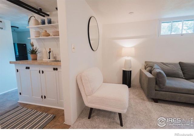 416 E Elizabeth St, Fort Collins, CO 80524 - view of living area