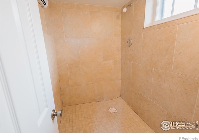 416 E Elizabeth St, Fort Collins, CO 80524 - bathroom with tiled shower