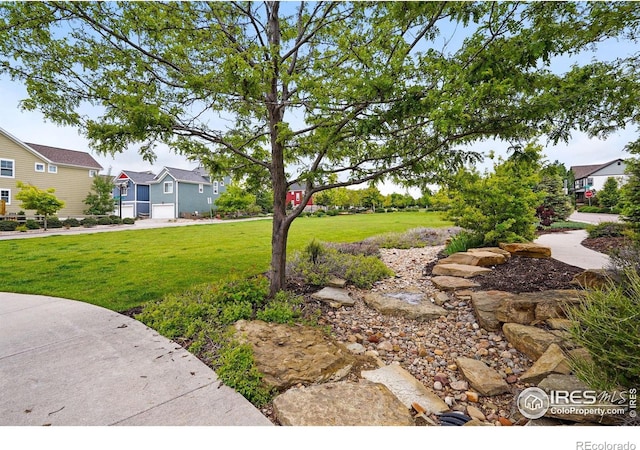 518 Hoyt Ln, Lafayette, CO 80026 - view of green lawn