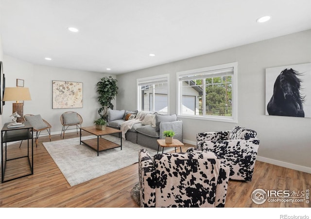 2836 W County Road 60e, Fort Collins, CO 80524 - living area featuring recessed lighting, wood finished floors, and baseboards