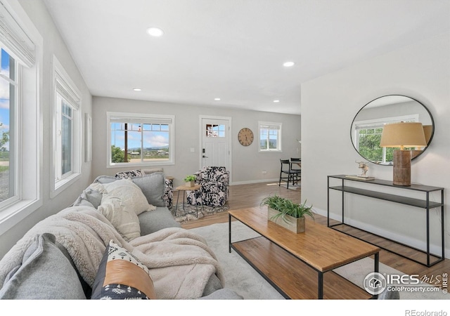 2836 W County Road 60e, Fort Collins, CO 80524 - living room featuring wood finished floors, recessed lighting, and baseboards
