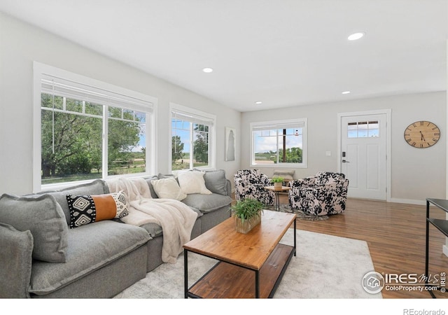 2836 W County Road 60e, Fort Collins, CO 80524 - living area featuring healthy amount of natural light, light wood-style flooring, recessed lighting, and baseboards