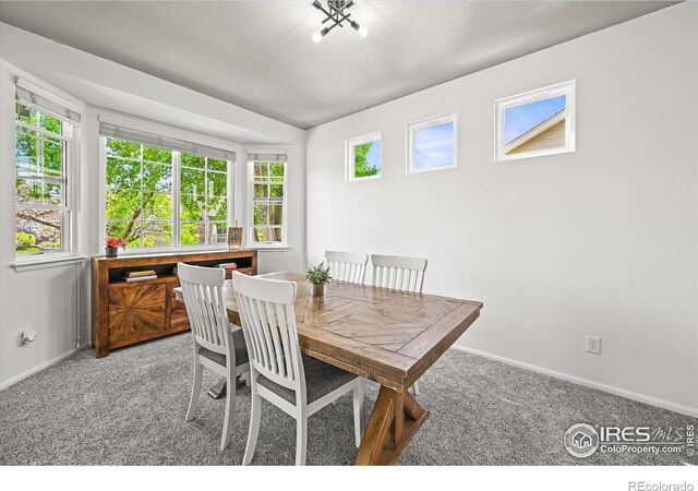 13445 Kearney St, Thornton, CO 80602 - carpeted dining space featuring baseboards
