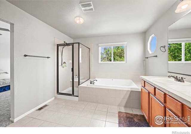 13445 Kearney St, Thornton, CO 80602 - bathroom featuring vanity, a garden tub, a stall shower, and healthy amount of natural light