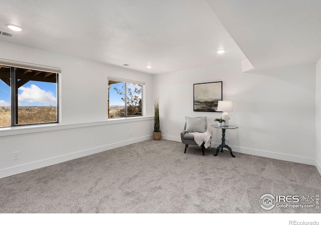1605 Cliff Side Dr, Loveland, CO 80538 - photo 27