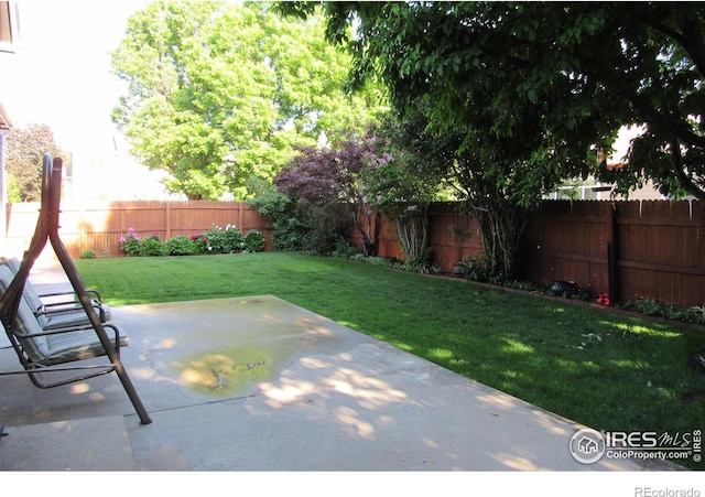 1536 Goshawk Dr, Longmont, CO 80504 - view of yard featuring a patio area