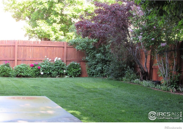 1536 Goshawk Dr, Longmont, CO 80504 - view of yard