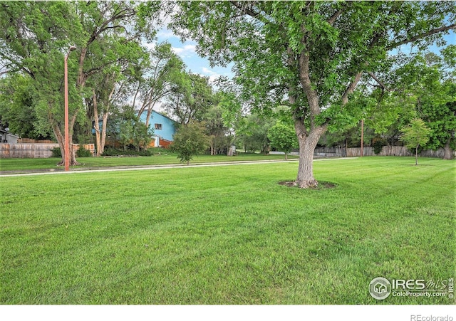 225 E 8th Ave Unit C-19, Longmont, CO 80504 - view of yard