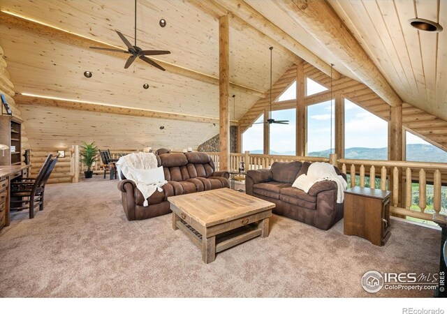 4119 Davis Ranch Rd, Bellvue, CO 80512 - photo 23