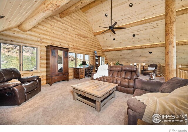 4119 Davis Ranch Rd, Bellvue, CO 80512 - photo 25