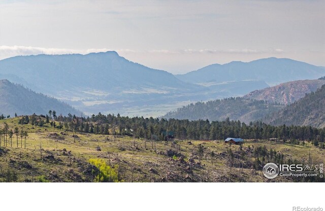 4119 Davis Ranch Rd, Bellvue, CO 80512 - photo 28