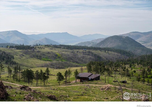 4119 Davis Ranch Rd, Bellvue, CO 80512 - photo 29