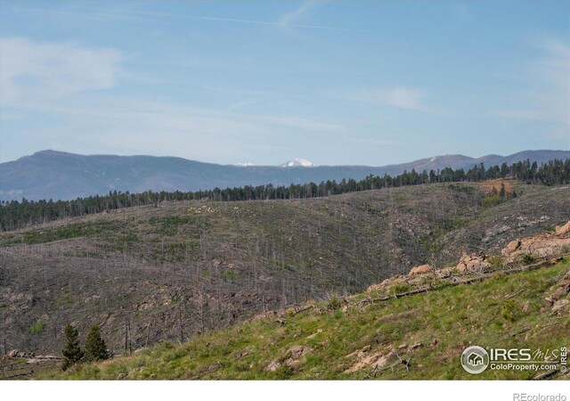 4119 Davis Ranch Rd, Bellvue, CO 80512 - photo 40